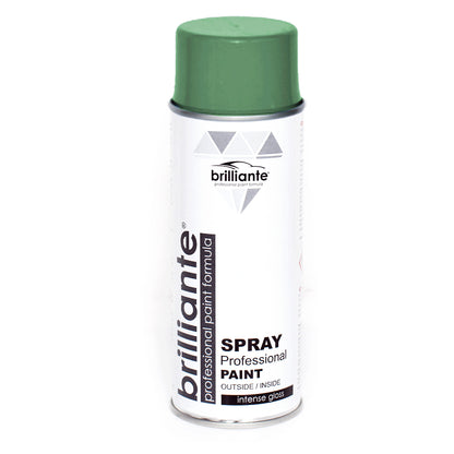 Vopsea Spray Verde Inchis (RAL 6005) 400ml